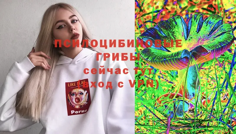 даркнет сайт  Татарск  Галлюциногенные грибы Psilocybine cubensis 